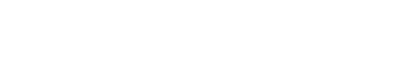 logo scassi